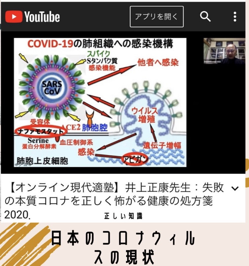 井上正康 日本のコロナウィルスの現状